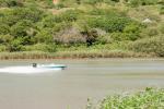 The Pont - Boating on the Umtanvuma River